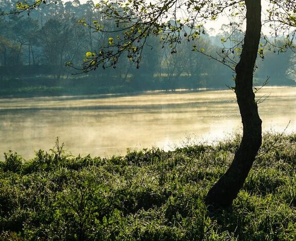 Ideas for Peaceful Weekend Mornings to Refresh Your Spirit
