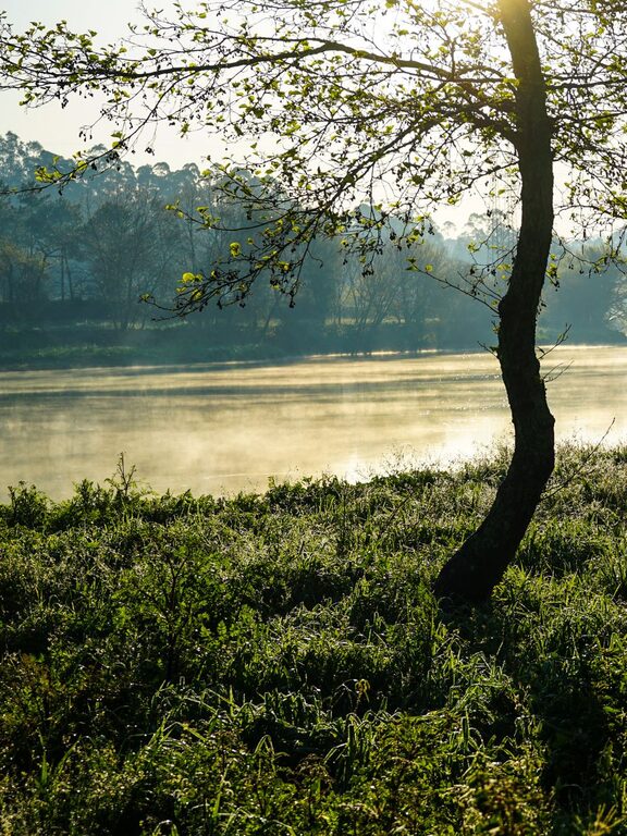 Ideas for Peaceful Weekend Mornings to Refresh Your Spirit